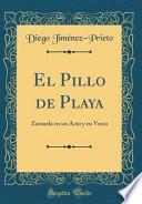 libro El Pillo De Playa